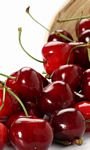 pic for Cherries 